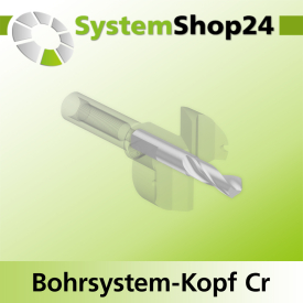 Systemshop24 Bohrsystem-Kopf Chromstahl D29mm d6mm H9mm SW8mm GL50mm S Gewinde innen M6 mit Passsitz RL