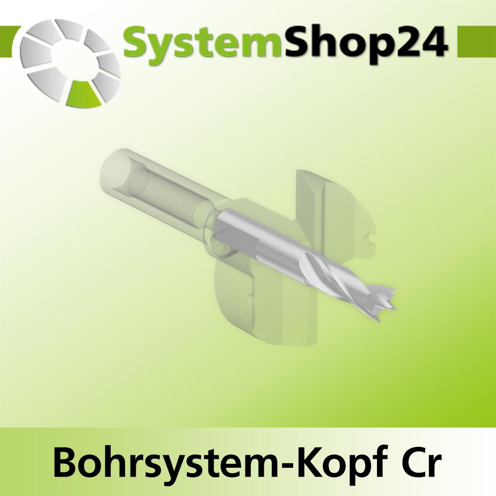 Systemshop24 Bohrsystem-Kopf Chromstahl D30mm d6mm H9mm SW8mm GL50mm S Gewinde innen M6 mit Passsitz RL