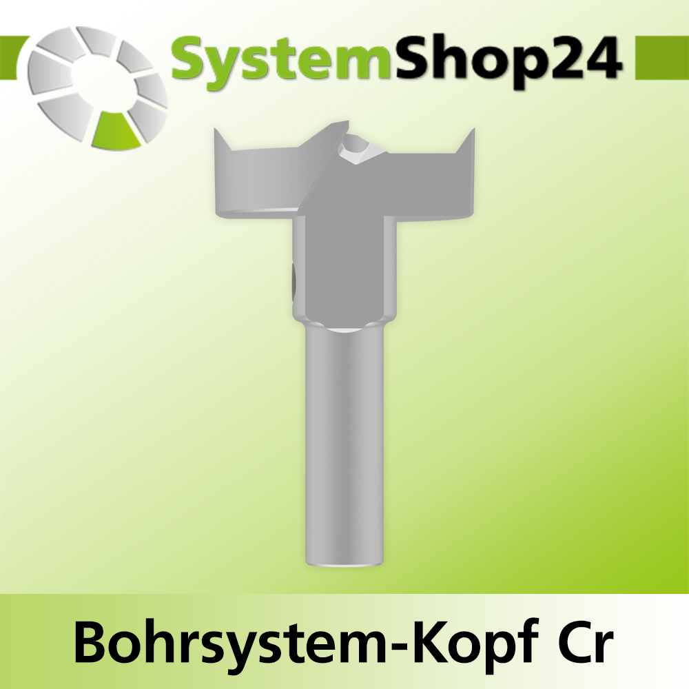Systemshop24 Bohrsystem-Kopf Chromstahl D30mm d6mm H9mm SW8mm GL50mm S Gewinde innen M6 mit Passsitz RL