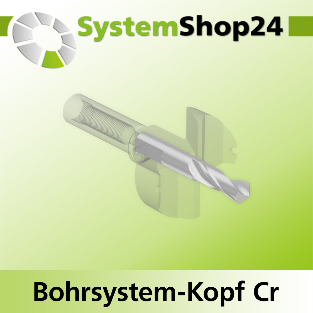 Systemshop24 Bohrsystem-Kopf Chromstahl D30mm d6mm H9mm SW8mm GL50mm S Gewinde innen M6 mit Passsitz RL