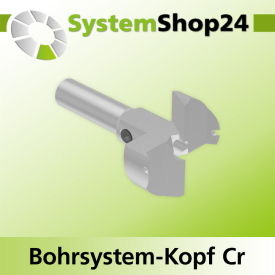 Systemshop24 Bohrsystem-Kopf Chromstahl D30mm d6mm H9mm SW8mm GL50mm S Gewinde innen M6 mit Passsitz RL