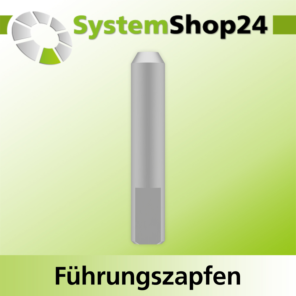 Systemshop24 Führungszapfen D6mm NL12mm GL34mm S6mm