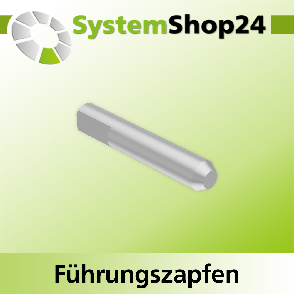Systemshop24 Führungszapfen D6mm NL12mm GL34mm S6mm