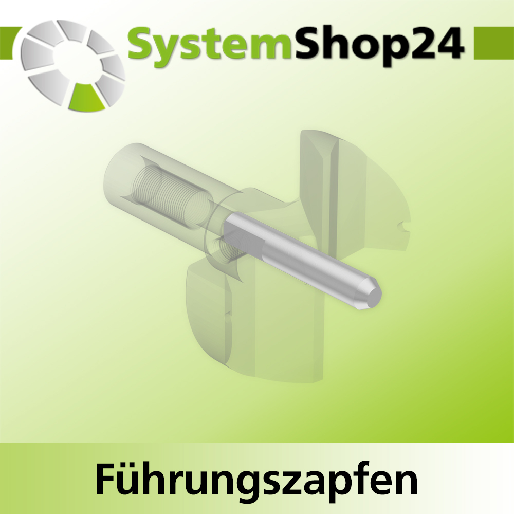Systemshop24 Führungszapfen D6mm NL12mm GL34mm S6mm