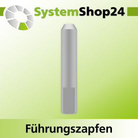 Systemshop24 Führungszapfen D6mm NL12mm GL34mm S6mm