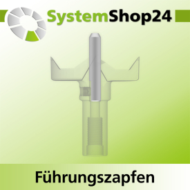 Systemshop24 Führungszapfen D6mm NL12mm GL34mm S6mm
