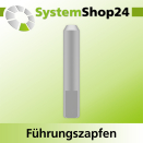 Systemshop24 Führungszapfen D6mm NL12mm GL34mm S6mm