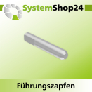 Systemshop24 Führungszapfen D6mm NL12mm GL34mm S6mm
