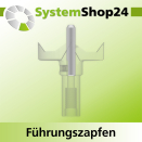 Systemshop24 Führungszapfen D6mm NL12mm GL34mm S6mm