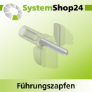 Systemshop24 Führungszapfen D6mm NL12mm GL34mm S6mm