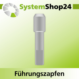Systemshop24 Führungszapfen D8mm NL12mm GL34mm S6mm