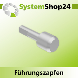 Systemshop24 Führungszapfen D12mm NL12mm GL34mm S6mm