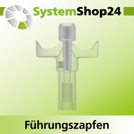 Systemshop24 Führungszapfen D12mm NL12mm GL34mm S6mm
