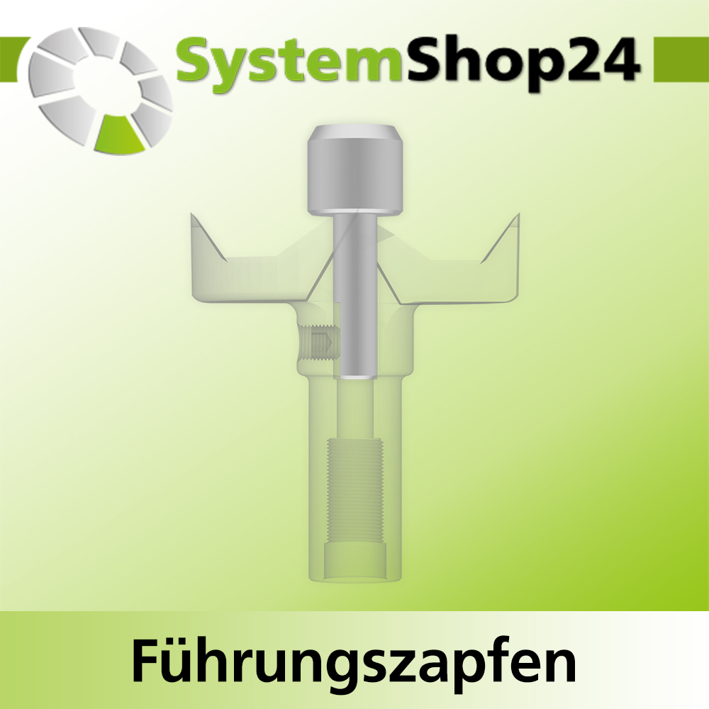 Systemshop24 Führungszapfen D13mm NL12mm GL34mm S6mm