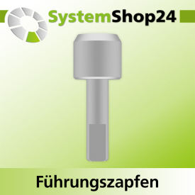 Systemshop24 Führungszapfen D13mm NL12mm GL34mm S6mm
