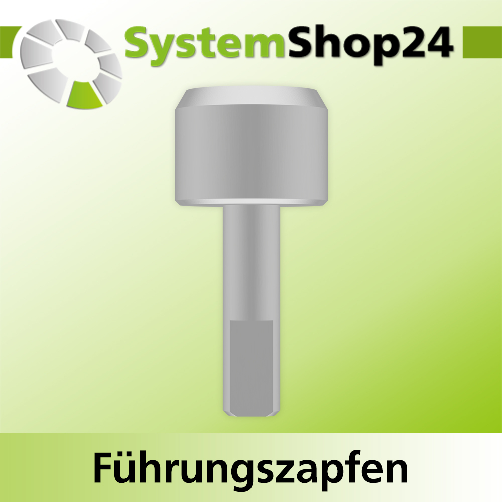 Systemshop24 Führungszapfen D16mm NL12mm GL34mm S6mm