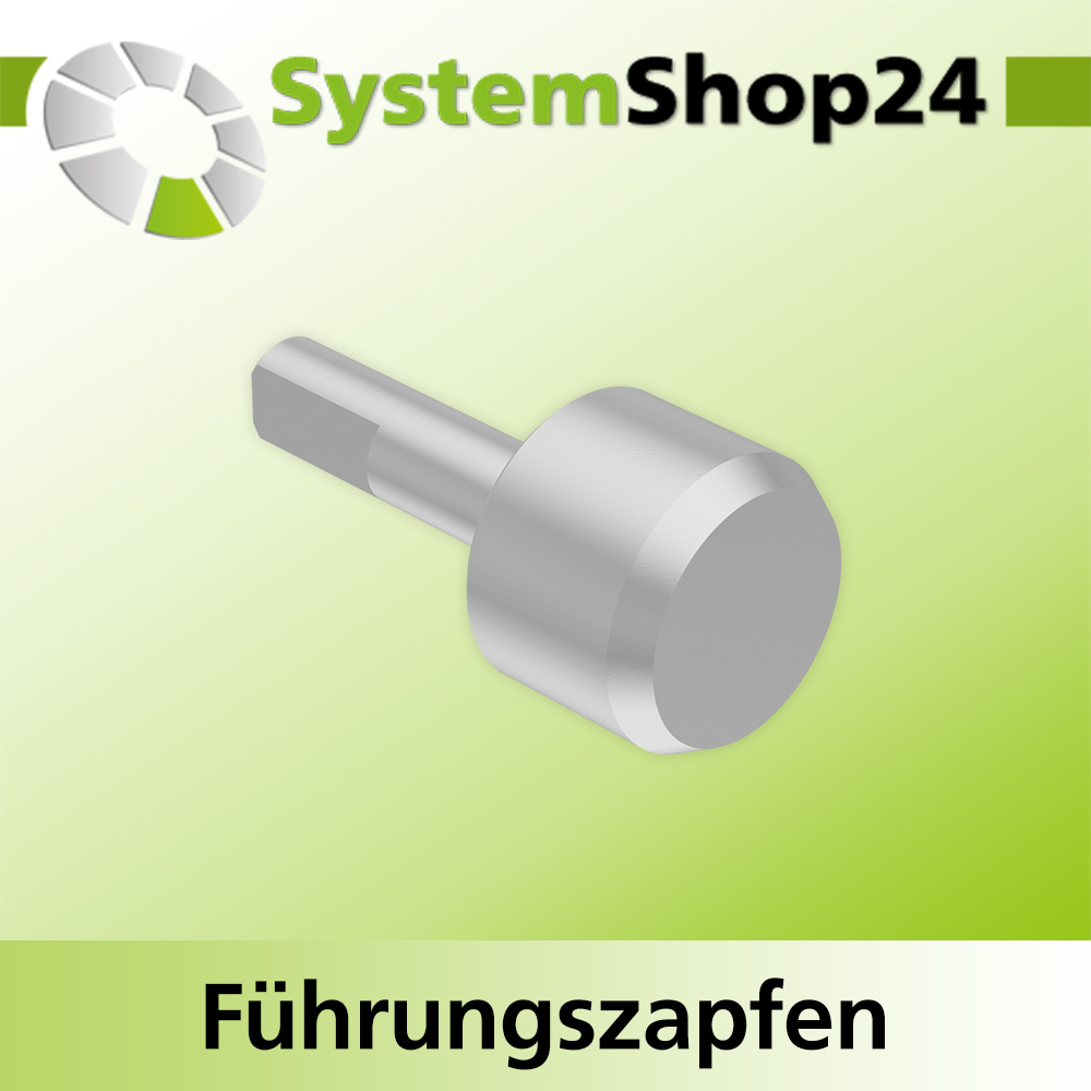 Systemshop24 Führungszapfen D16mm NL12mm GL34mm S6mm