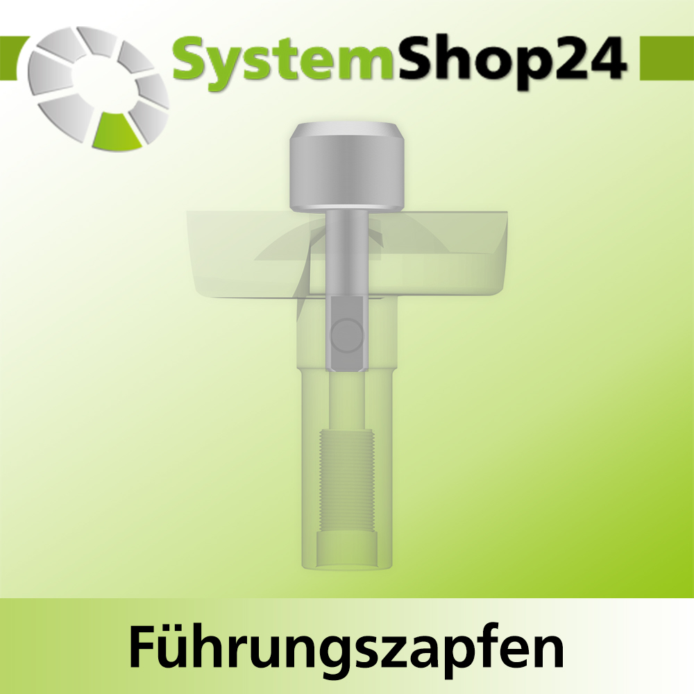 Systemshop24 Führungszapfen D16mm NL12mm GL34mm S6mm