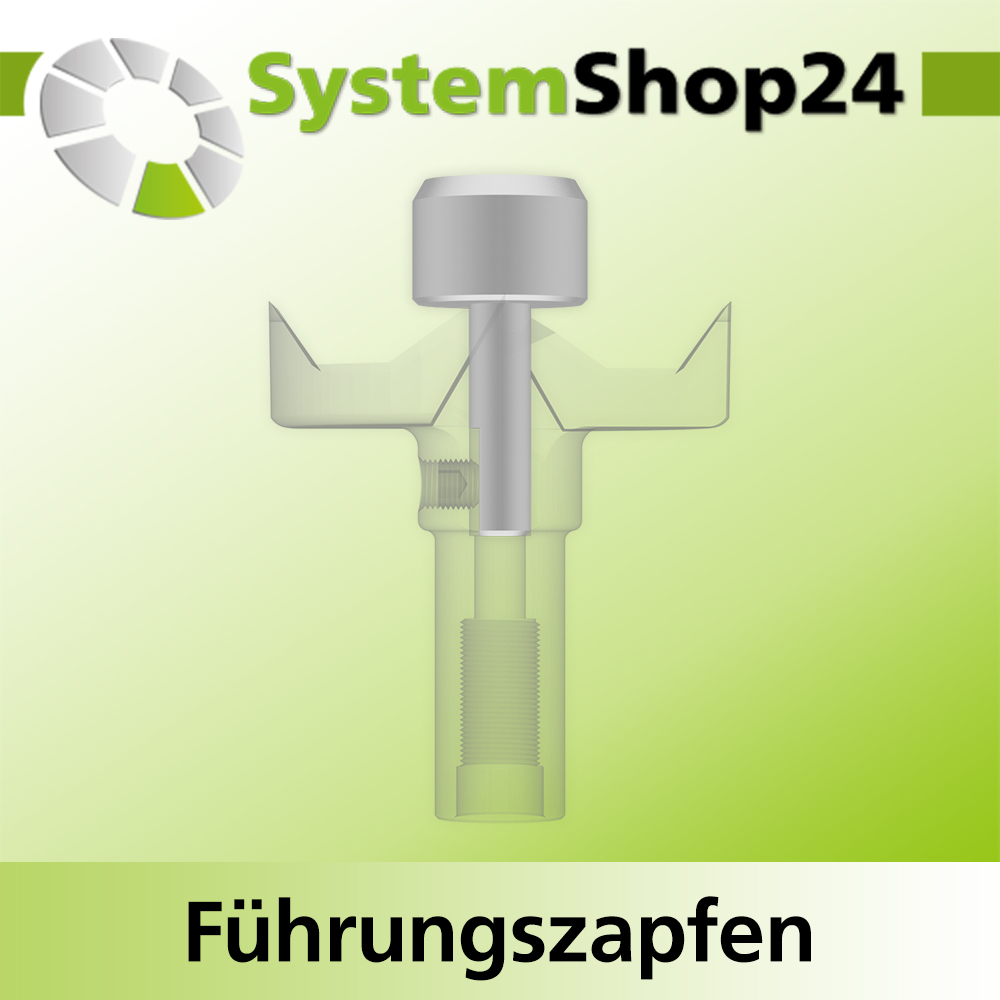 Systemshop24 Führungszapfen D17mm NL12mm GL34mm S6mm
