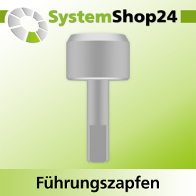 Systemshop24 Führungszapfen D17mm NL12mm GL34mm S6mm