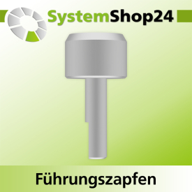 Systemshop24 Führungszapfen D17mm NL12mm GL34mm S6mm