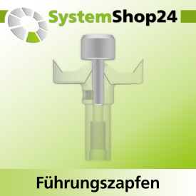 Systemshop24 Führungszapfen D17mm NL12mm GL34mm S6mm
