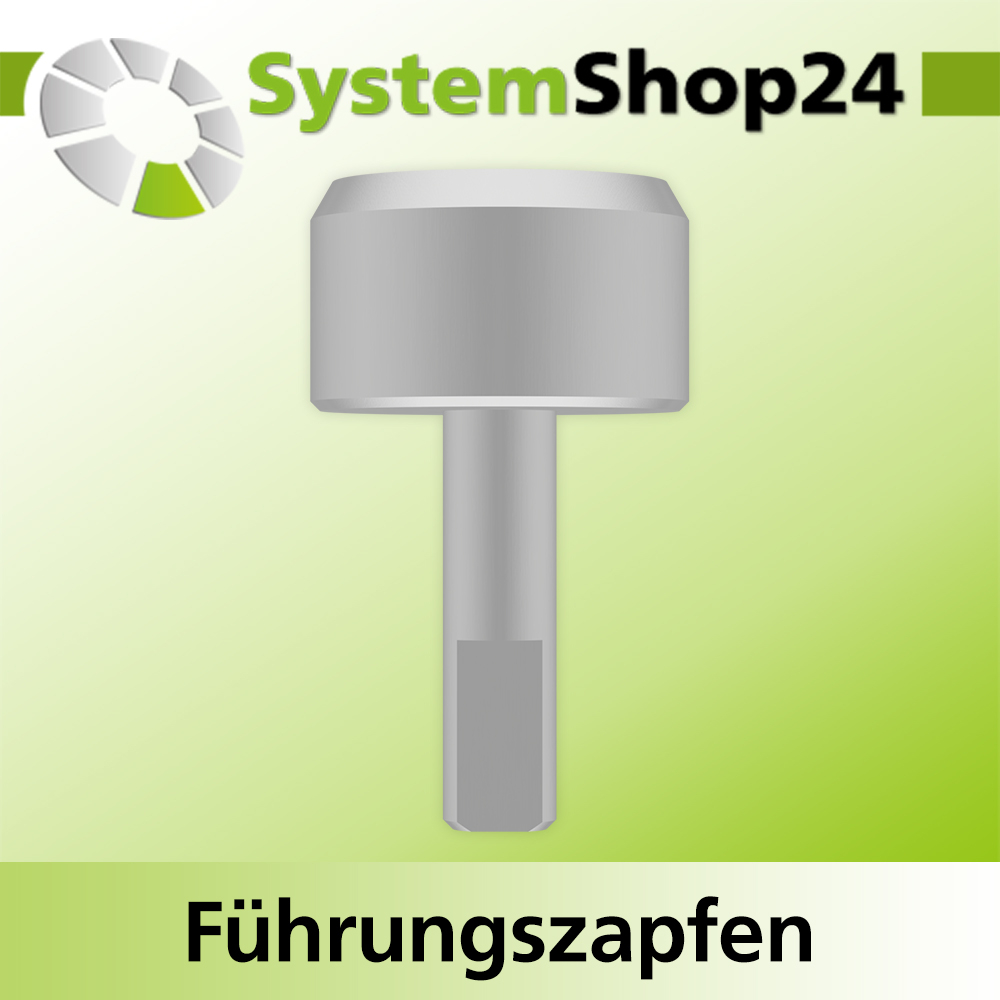 Systemshop24 Führungszapfen D20mm NL12mm GL34mm S6mm