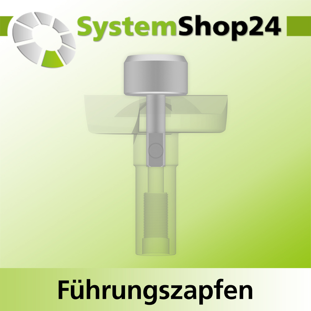 Systemshop24 Führungszapfen D20mm NL12mm GL34mm S6mm