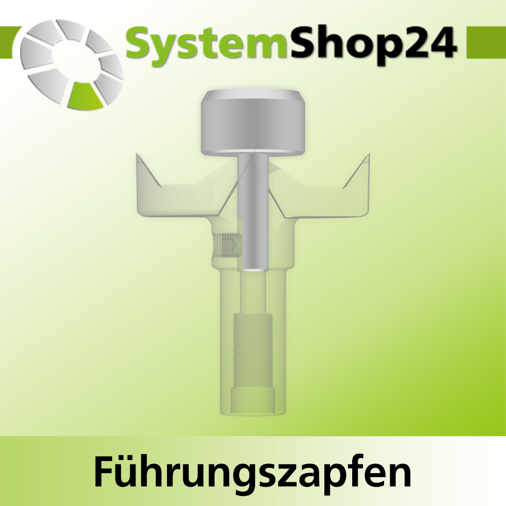 Systemshop24 Führungszapfen D20mm NL12mm GL34mm S6mm