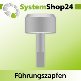 Systemshop24 Führungszapfen D20mm NL12mm GL34mm S6mm