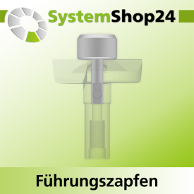 Systemshop24 Führungszapfen D20mm NL12mm GL34mm S6mm