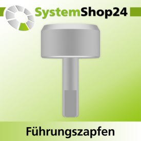 Systemshop24 Führungszapfen D22mm NL12mm GL34mm S6mm