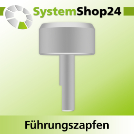 Systemshop24 Führungszapfen D22mm NL12mm GL34mm S6mm